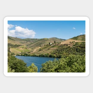 Vineyars in Douro Valley Sticker